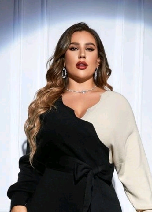 Two Tone Belted Sweater Dress image 3